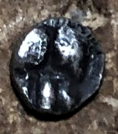 Пантикапей. 470 - 460 год до н.э. Серебро Диобол, 0,13 гр.5,5 мм