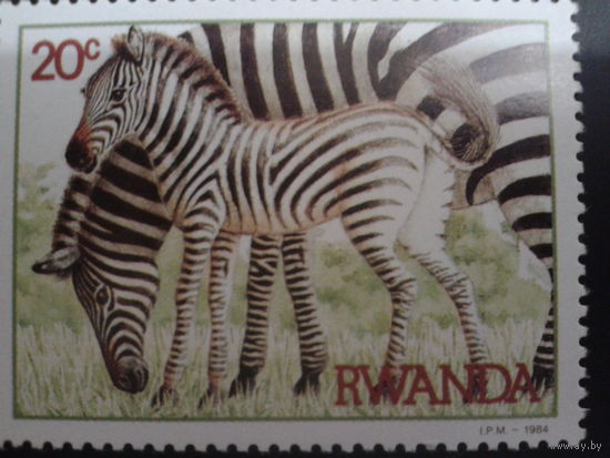 Руанда 1984 зебры