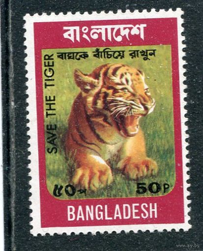 Бангладеш. Молодой тигр