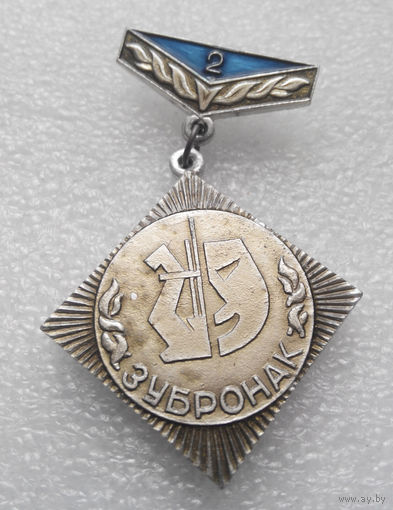 Медаль. Пионерский лагерь Зубренок. 2-е место #0355