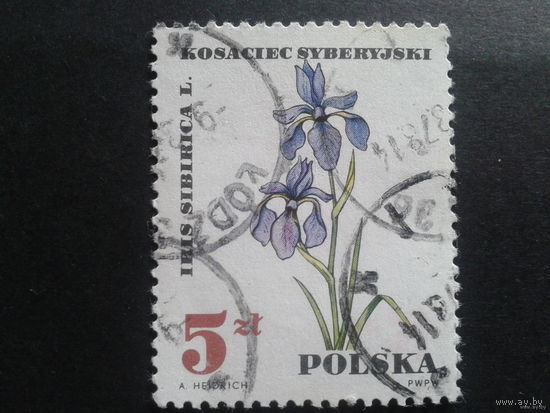 Польша 1967. Лекарственные цветы. Ирис