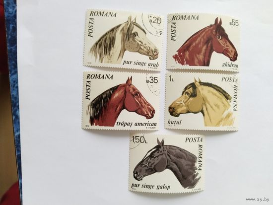 Румыния  1970 5м  лошади