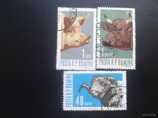 Румыния 1962 домашние животные
