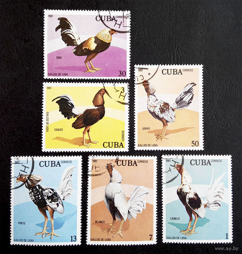 Куба 1981 г. Бойцовые петухи. Фауна. Птицы. полная серия из 6 марок #0009-Ф2P2
