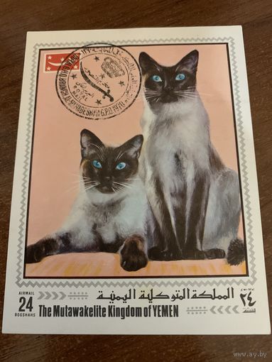 Йемен 1970. Сиамские кошки. Блок