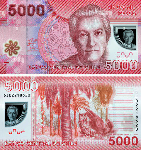Чили 5000 песо  2016 год  UNC  (полимер)  номер банкноты ВЕ 62729739