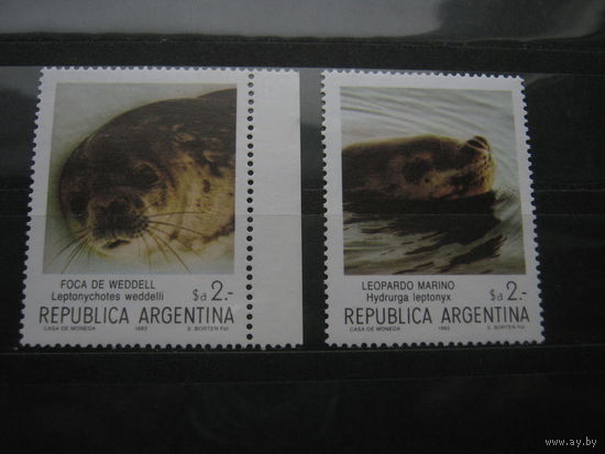 Марки - Аргентина фауна морской котик 1983