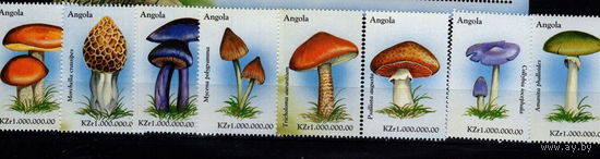 Ангола Грибы 1999    MNH