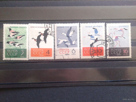 1962 Птицы полная серия