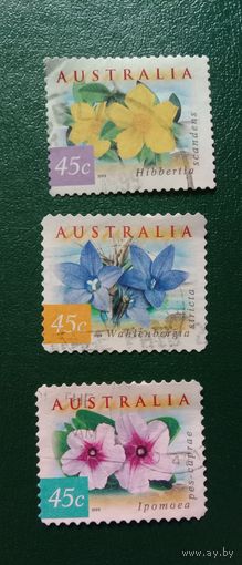 Марки Австралия 1999 Цветы