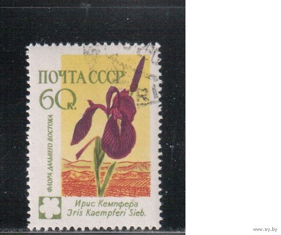 СССР-1960, (Заг.2414), гаш.(с клеем) , Флора, Цветы