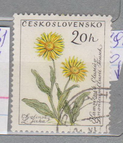 Флора цветы Чехословакия 1960 год  лот 8 менее 15 % от каталога