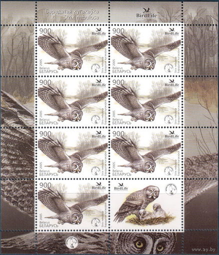 Беларусь 2005   Птица года.Бородатая неясыть (малый лист)