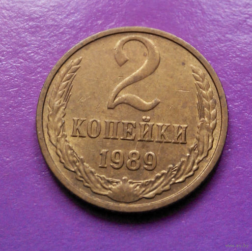 2 копейки 1989 СССР #02