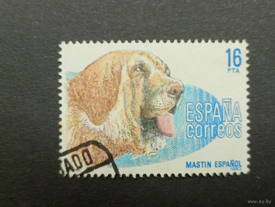 Испания 1983. Собаки