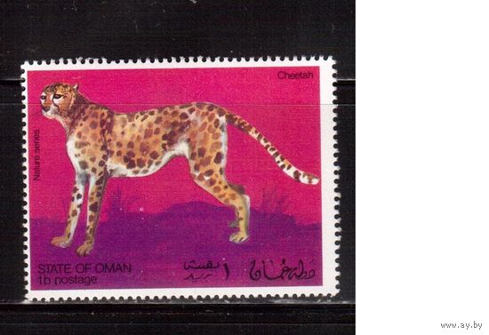 Фауна , Оман-1969 ,  **,  Дикие кошки