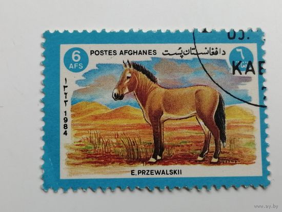 Афганистан 1984. Фауна