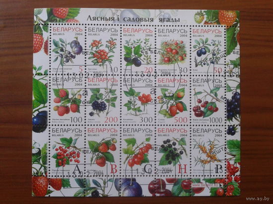 2004 Стандарт, ягоды м/лист Михель-5,50 евро гаш