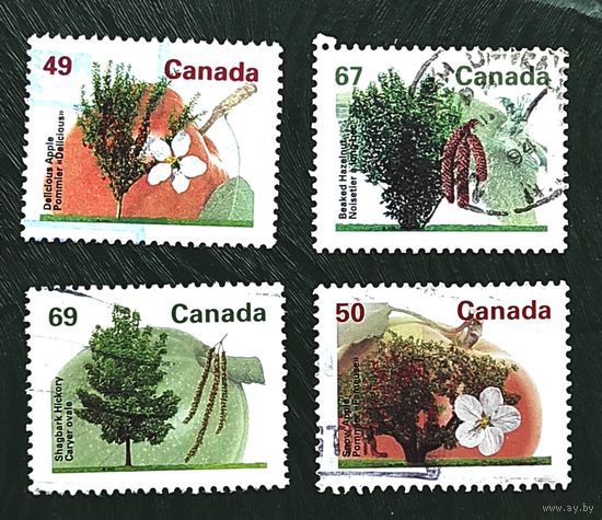 Канада: 4м флора, деревья