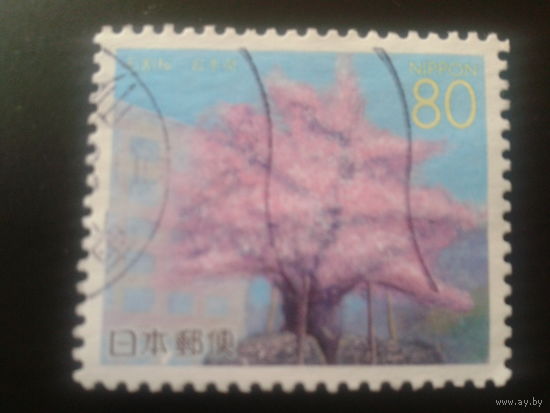Япония 2000 цветущее дерево Mi-1,7 евро гаш.