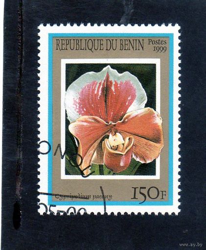 Бенин.Ми-1154.Флора. Цветы. Орхидеи. 1999