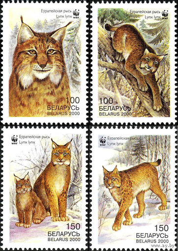 Европейская рысь Беларусь 2000 год (384-387) серия из 4-х марок