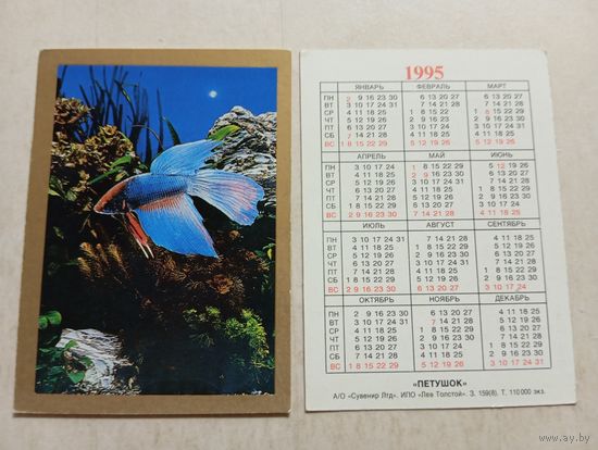 Карманный календарик. Рыба Петушок.1995 год