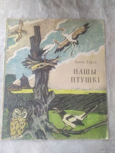 А.Гурло"Нашы птушкі"\056