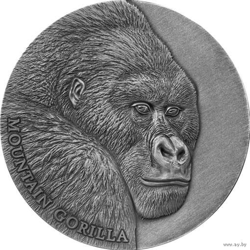 Камерун 2000 франков 2021г. "Горная горилла". Монета в капсуле; деревянном подарочном футляре; сертификат; коробка. СЕРЕБРО 62,20гр.(2 oz).