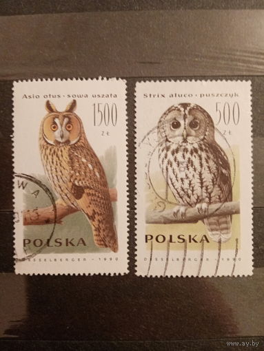 Польша 1990. Птицы. Совы