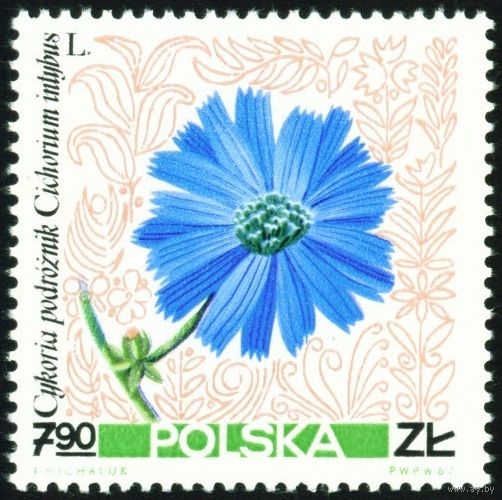 Полевые цветы Польша 1967 год 1 марка