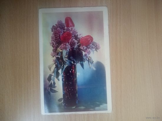 Открытка. Цветы. Фото Е. Савалова. 1971 год.