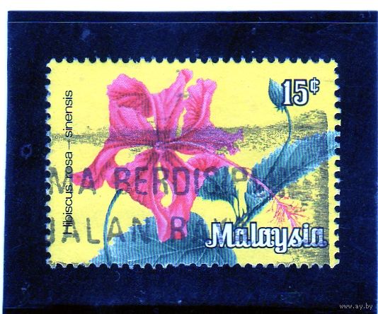 Малайзия.Малайзия. Цветы. Гибискус. 1979..