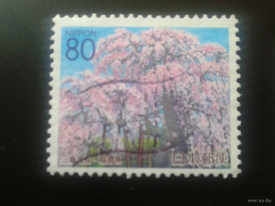 Япония 2000 цветущий сад