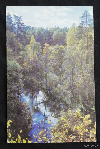 Гайлитис Я. Вид на реку Тервете из сада Иршу. 1975 год. Чистая #0129-V1P65