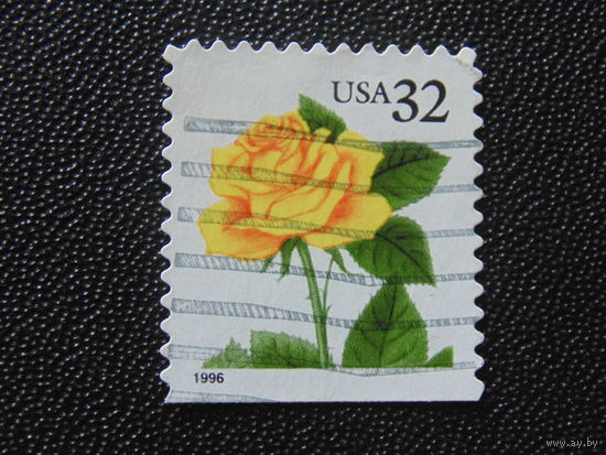 США 1996 г. Цветы. Роза.