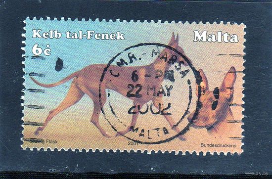 Мальта.Ми-1199. Животные.Собаки.Хаунд египетского фараона.2001.
