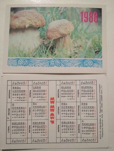 Карманный календарик. Грибы . 1988 год