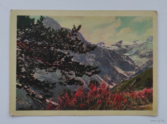 Почтовая карточка 1964 г. "Баксанское ущелье". Фото В. Кинеловского.