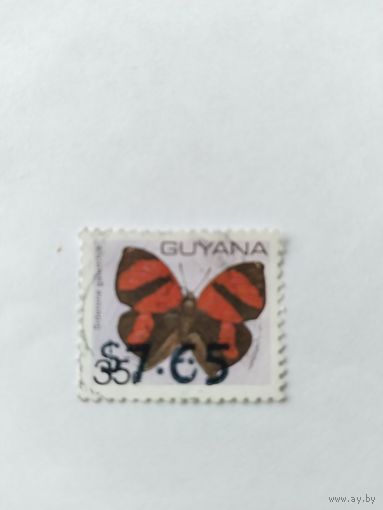 Гайана 1981 н/п бабочка