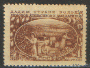 З. 1533. 1951. Сбор цитрусовых. гаш.