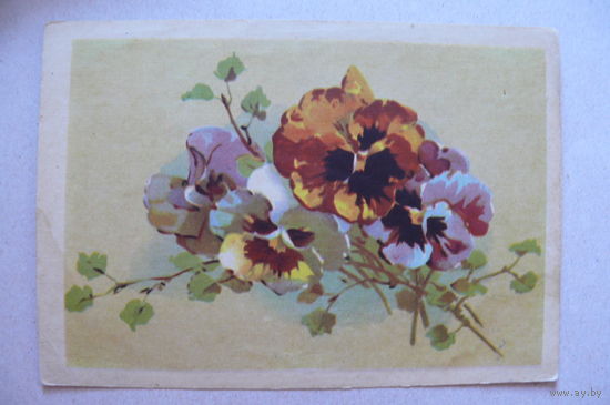 Цветы, 1957, подписана (Таллин)