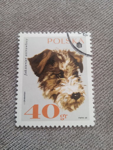 Польша 1968. Породы собак. Йоркштерьер