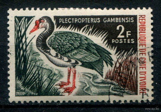 Кот д'Ивуар - 1966г. - птицы, 2 F - 1 марка - гашёная с клеем и наклейкой. Без МЦ!