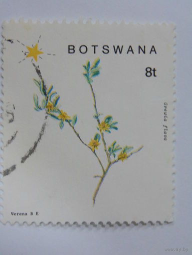 Ботсвана. Цветы.