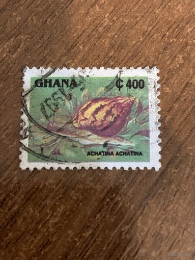 Гана 1997. Ахатина. Марка из серии