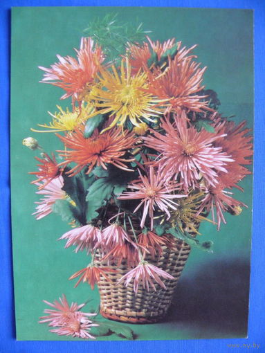 Фотокомпозиция Э. Стейнерта, Цветы, 1985, чистая.