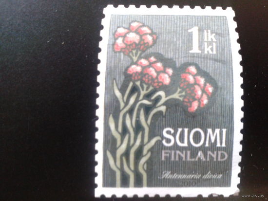 Финляндия 2010 цветы