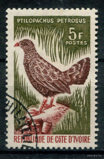 Кот д'Ивуар - 1966г. - птицы, 5 F - 1 марка - гашёная с клеем. Без МЦ!
