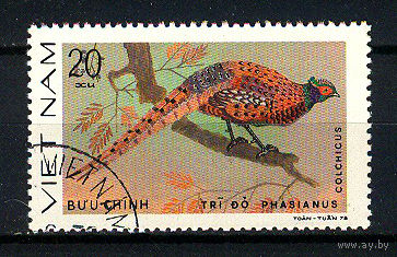 1979 Вьетнам. Обыкновенный фазан